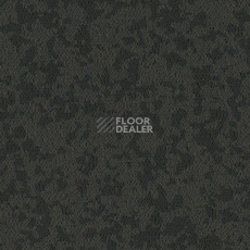 Линолеум Taralay Premium Osmoz 7737 Pepper Grey фото 1 | FLOORDEALER